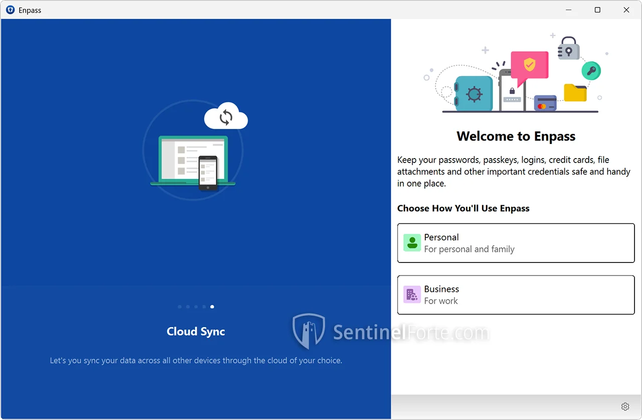 Enpass Password Manager 2025 full interface screenshot