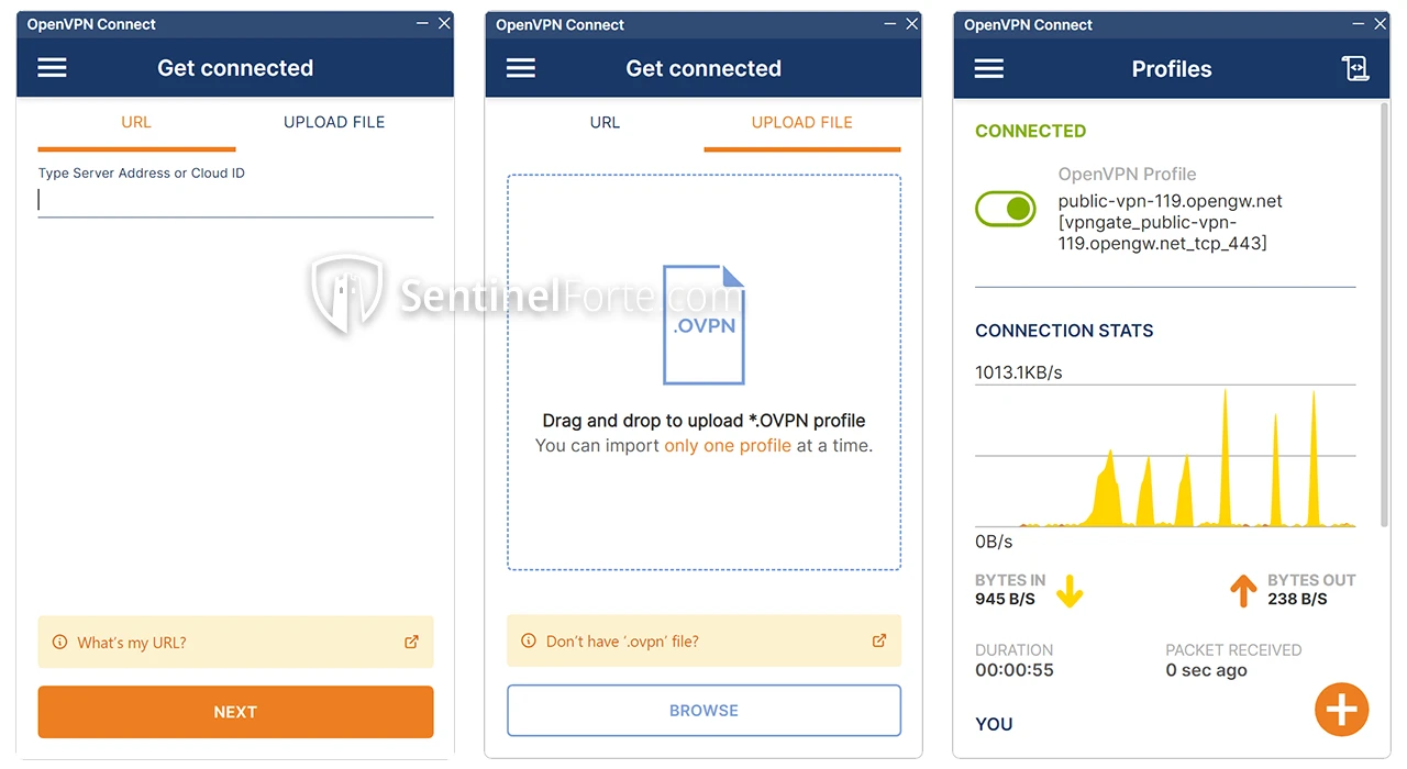 OpenVPN 2025 main interface screenshot