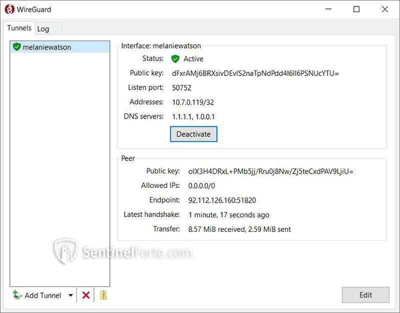 WireGuard VPN 2025 full interface screenshot